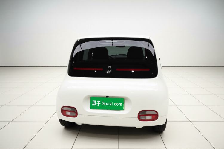 Used ORA White Cat 2020 401 km Flagship Version Exterior 4