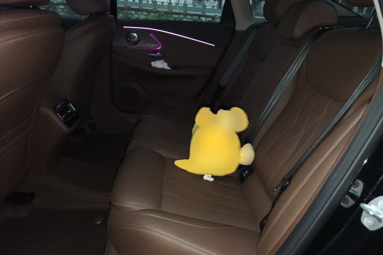 Used Chery Arrizo 8 2024 High-Performance Edition 2.0T DCT Powerfully Tuned Left Rear Seat