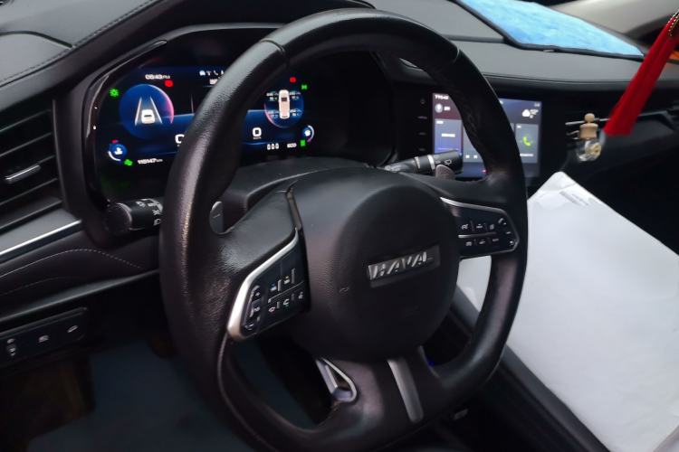 Used Haval F7 2020 2.0T Two-Wheel Drive i-Van
