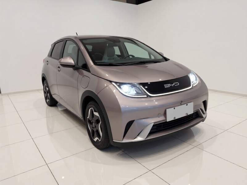 Used BYD Dolphin 2021 405 km Fashion Edition — 3