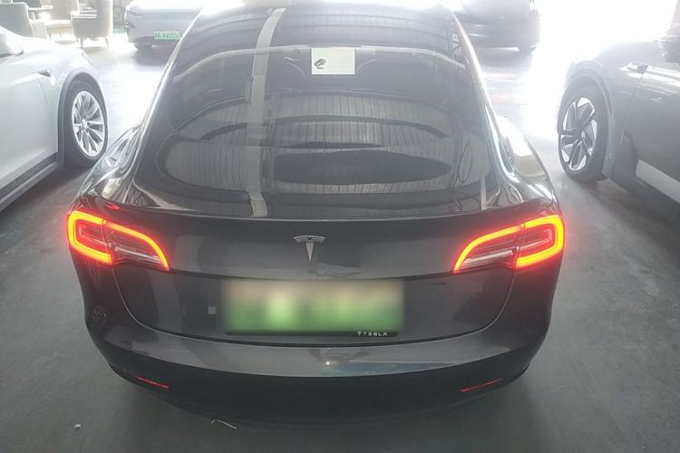 Used Tesla Model 3 (Import) 2019 Long-Range Rear-Wheel-Drive Version
