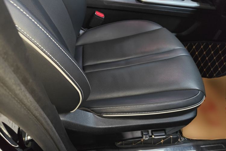 Used Tank 300 2024 2.0T Conqueror
