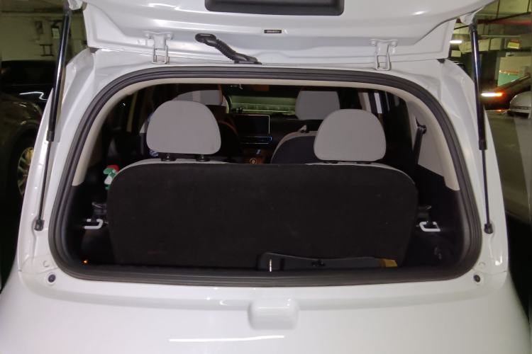 Used ORA White Cat 2020 305 km Luxury Version
