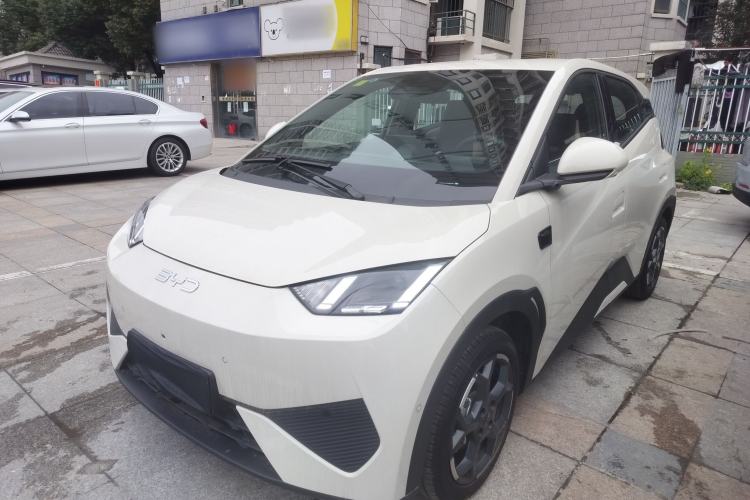 Used BYD Seagull 2025 Smart Drive Version 305 km Freedom Edition