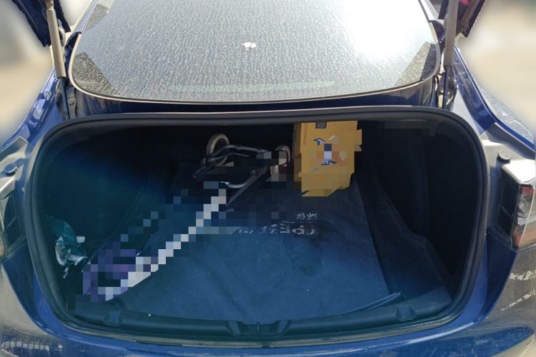 Used Tesla Model 3 2020 Standard Range Rear-Wheel Drive Upgraded Version Trunk