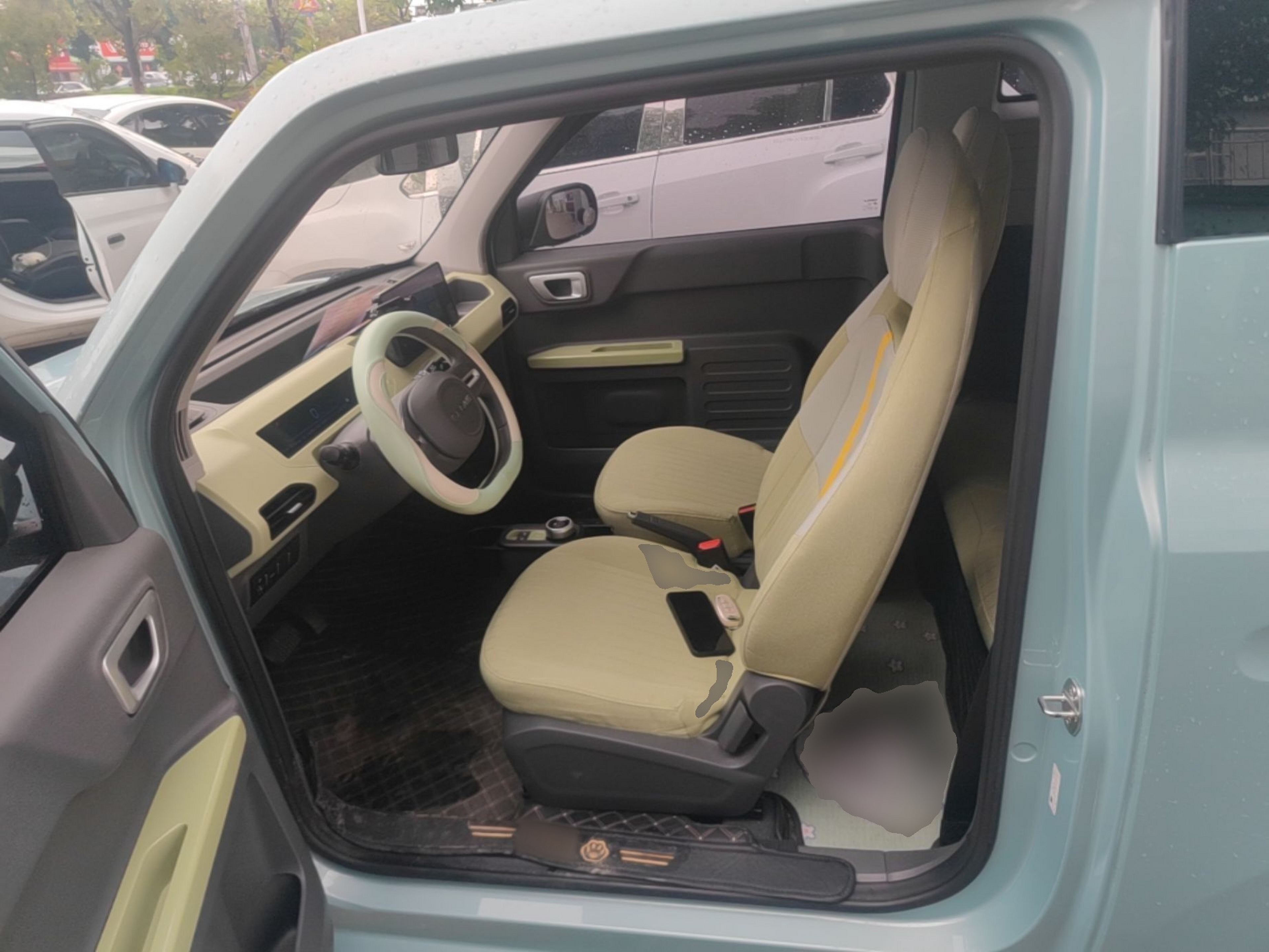 Interior delantero
