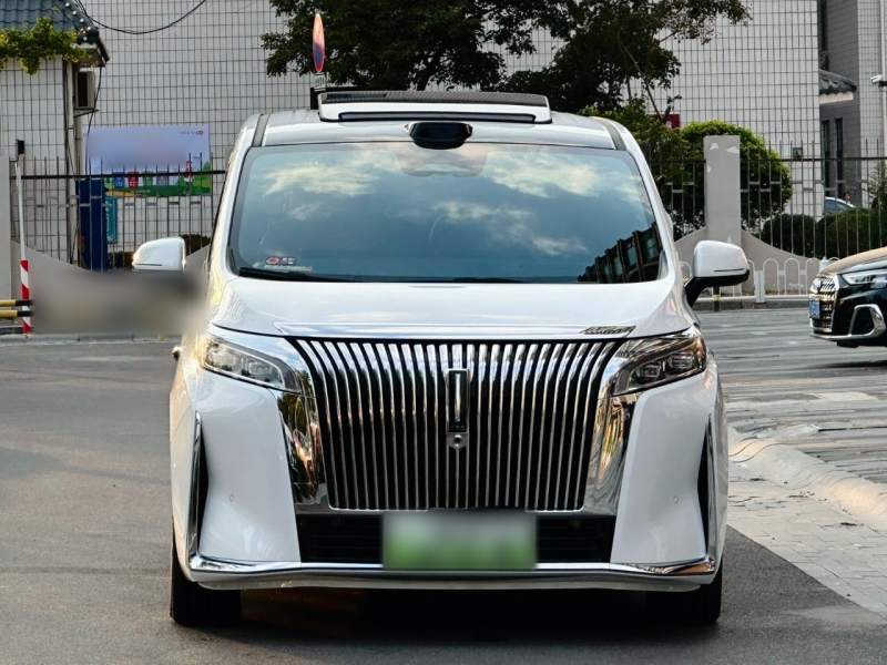 Used Wey Gaoshan 2025 Four-Wheel Drive Alpine 9 — 2