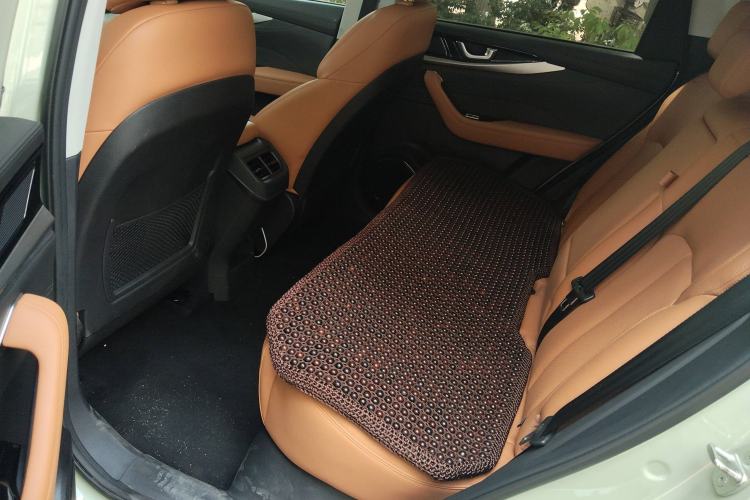 Used WM Motor W6 2021 520km PRO All-Round Edition Left Rear Seat