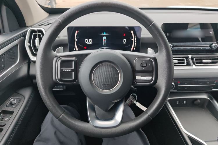 Used Great Wall King Kong Poer 2024 2.0T Automatic 8AT Diesel Two-Wheel-Drive Elite Flatbed