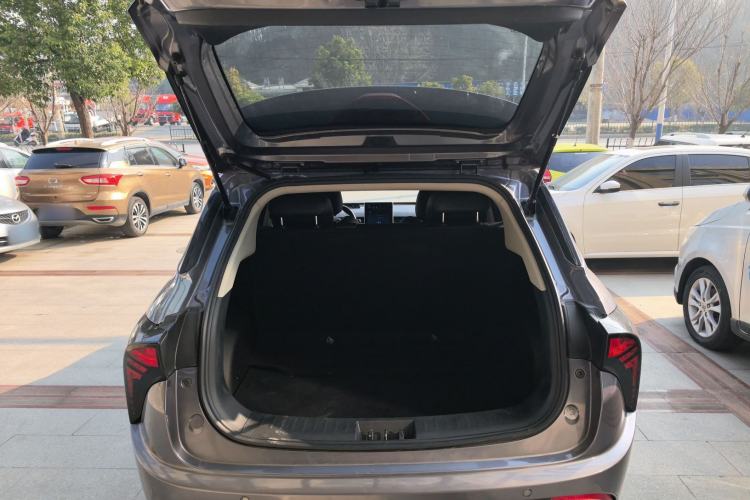 Used NETA V 2021 Standard Range Entertainment Edition
