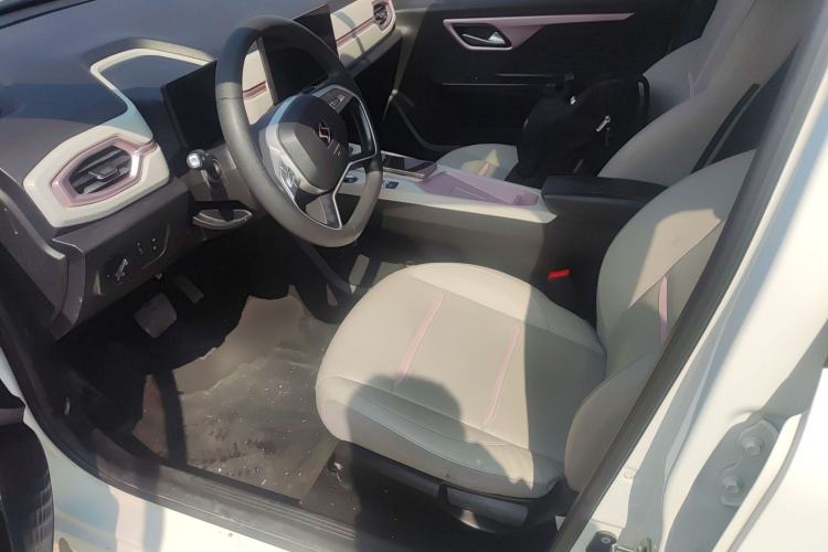 Used SOL E10X 2022 Flower Fairy Design Four-Leaf Clover