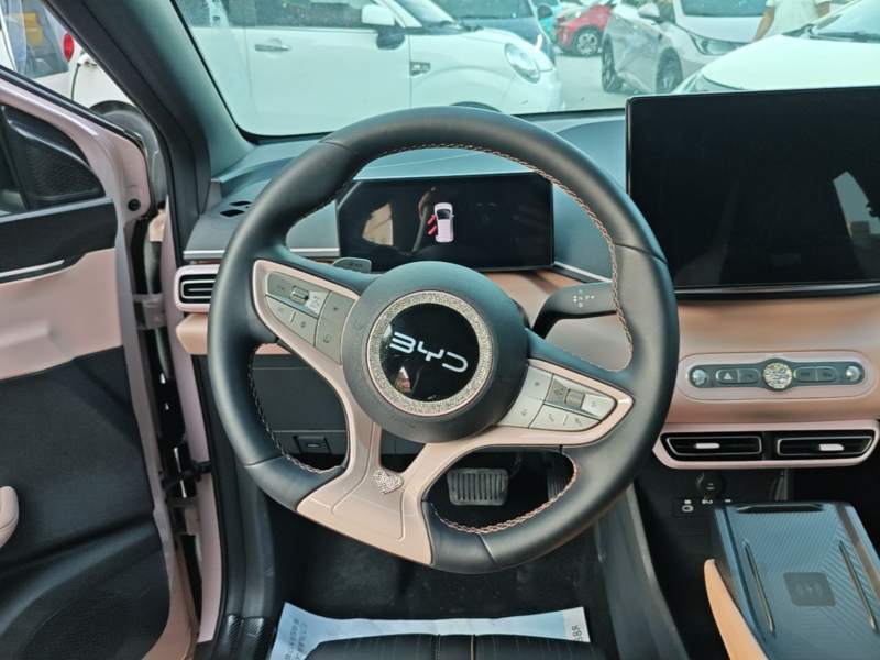 Used BYD Seagull 2025 Smart Drive Version 305 km Freedom Edition — 10