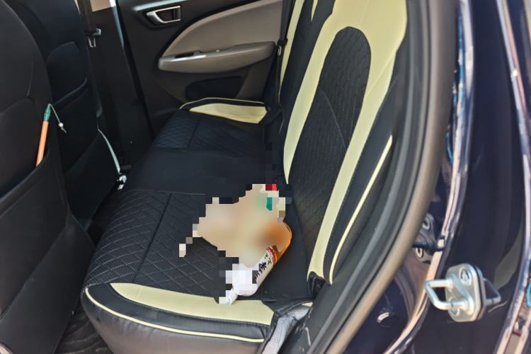 Used Leapmotor T03 2022 Hometown Jade Edition Left Rear Seat