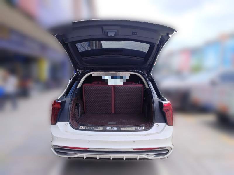 Used Hongqi E-HS9 2021 510 km Range Flagway Edition Six Seats — 9