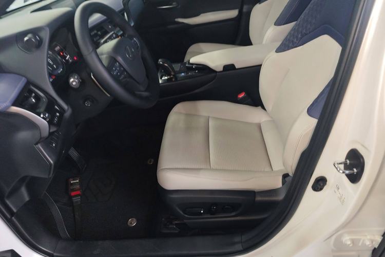 Used Lexus UX New Energy 2020 300e Pure·Joy Edition