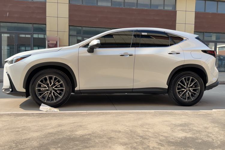 Used Lexus NX 2023 260 Front-Wheel Drive ChuanYou Special Edition