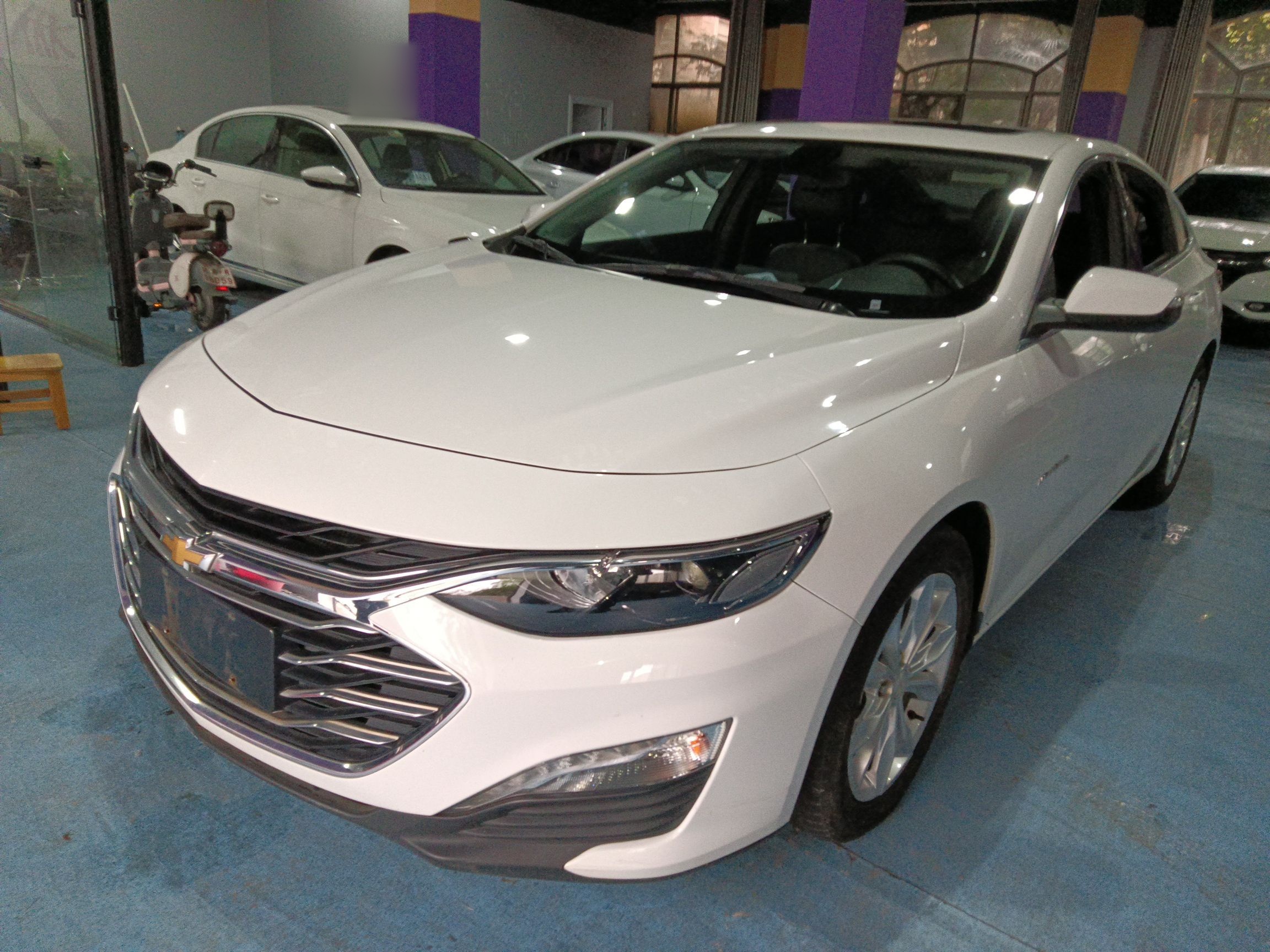 Parte inferior delantera