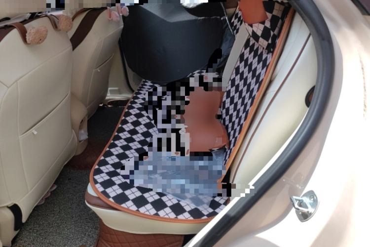 Used ORA Good Cat 2023 401 km Standard Range Luxury Version Lithium Iron Phosphate