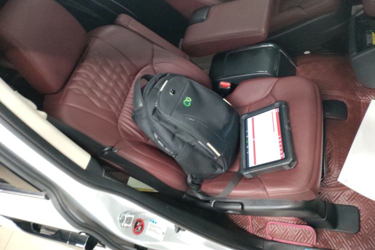 Used Honda Elysion 2024 2.0L eHEV Ultimate Edition
