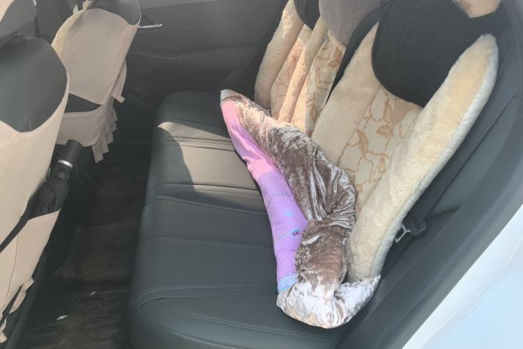 Used BYD Qin PLUS 2025 DM-i Smart Drive 55KM Leading Model
