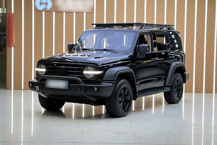 Used Tank 300 2024 2.0T Conqueror