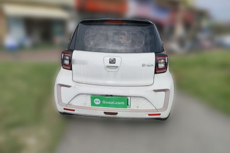 Used SOL E10X 2022 Flower Fairy Design Four-Leaf Clover Rear