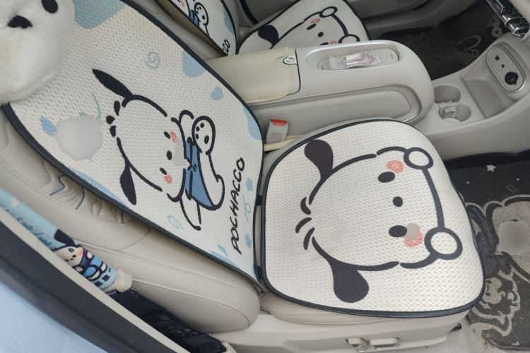 Used ORA Good Cat 2024 401 km Luxury Version 126 kW Right Front Seat