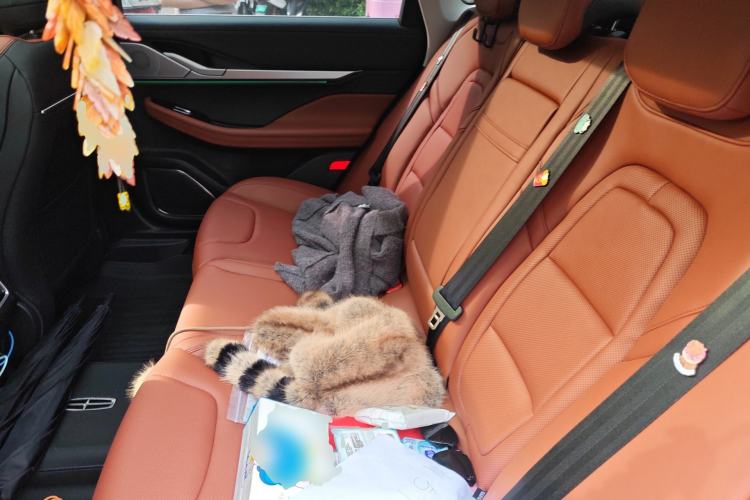 Used Lincoln Z 2025 2.0T Prestige Edition Left Rear Seat