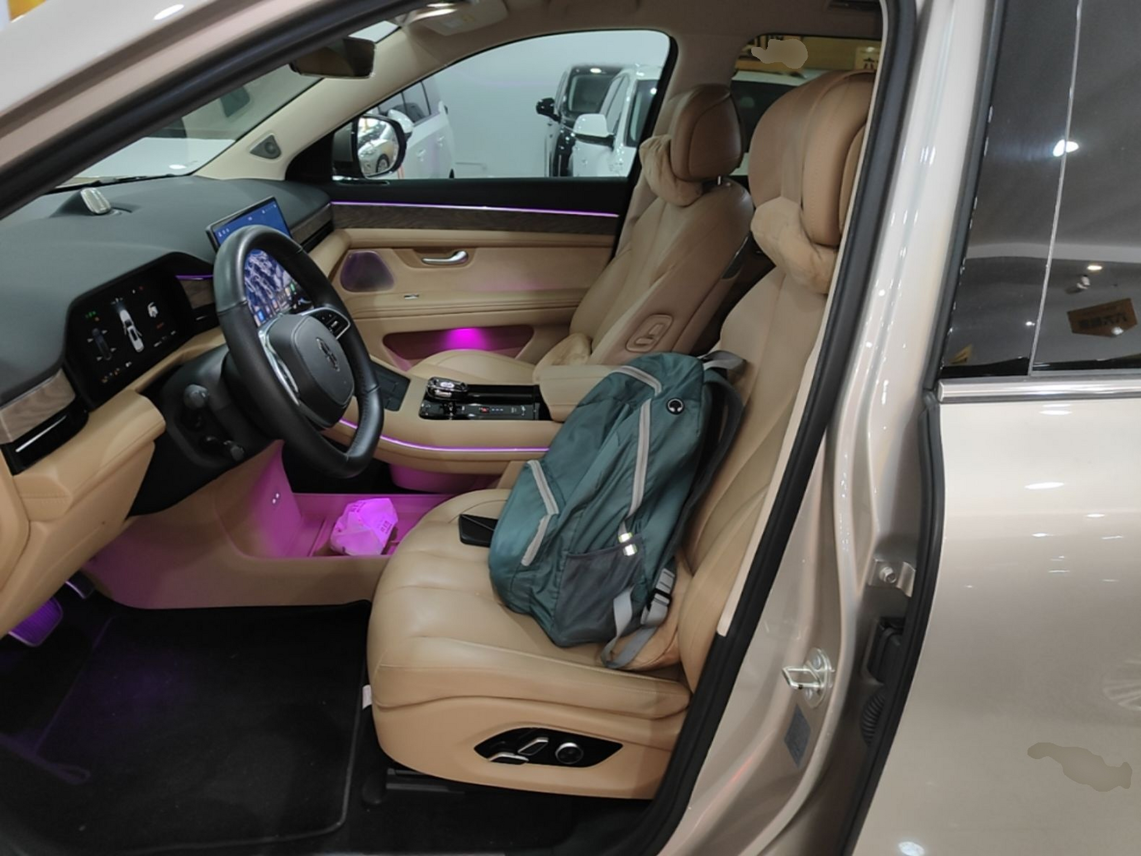 Interior delantero
