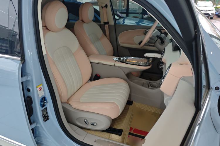 Used ORA Ballet Cat 2022 401 km Nutcracker Edition