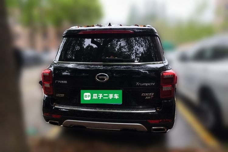 Used GAC Trumpchi GS8 2017 320T Four-Wheel Drive Luxury Smart Connectivity Version (7 Seats) Rear
