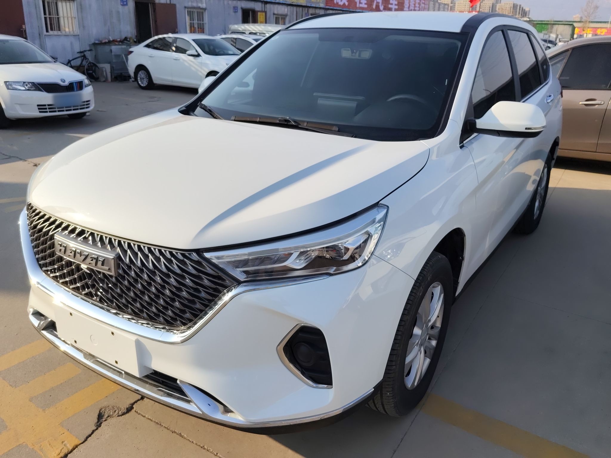 Parte inferior delantera