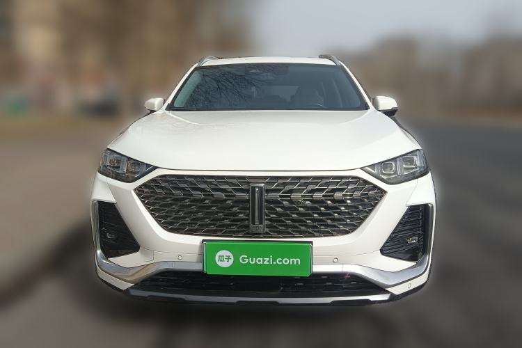 Used Wey Latte DHT-PHEV 2022 1.5T Two-Wheel-Drive Extra-Large Version
