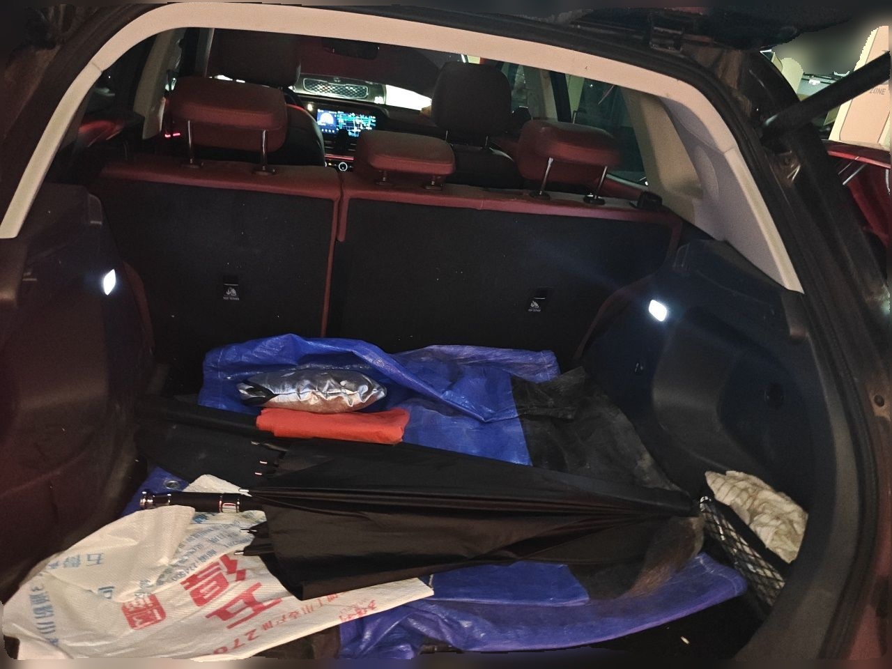 Hongqi HS5 2023 2.0T Qixiang Pro Edition — снимка 19