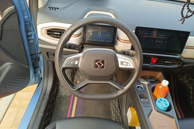 Used SOL E10X 2022 Flower Fairy Design Four-Leaf Clover Steering Wheel