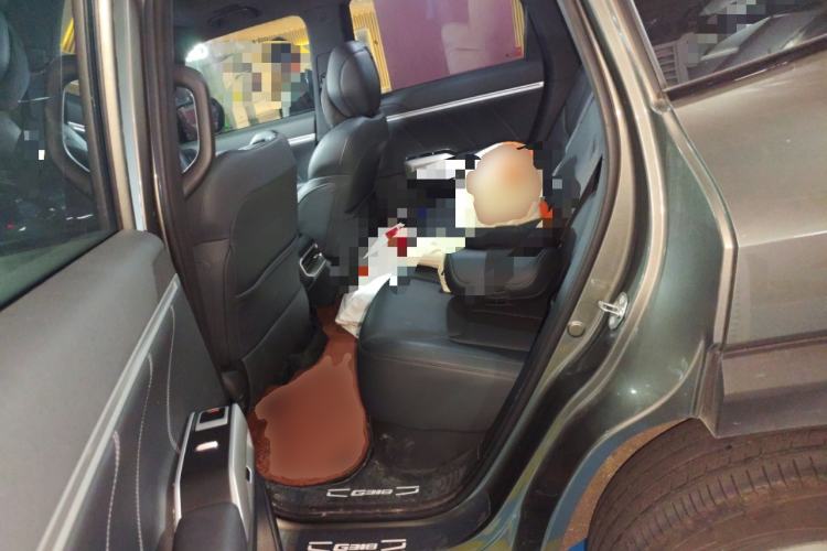 Used Deepal G318 2024 Two-Wheel Drive Air Suspension Version Left Rear Seat