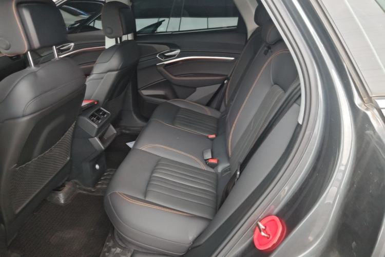 Used Audi e-tron 2021 50 quattro Luxury Edition Left Rear Seat