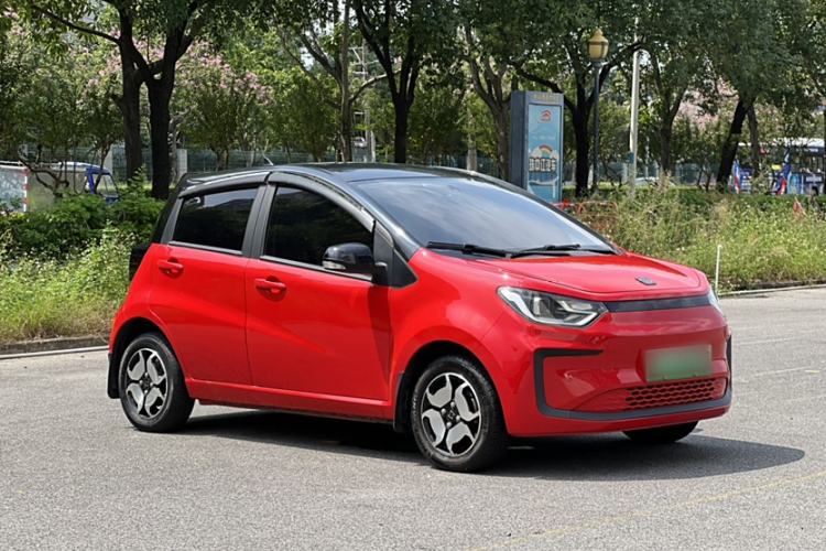 Used SOL E10X 2022 Flower Fairy Style Baby's Breath