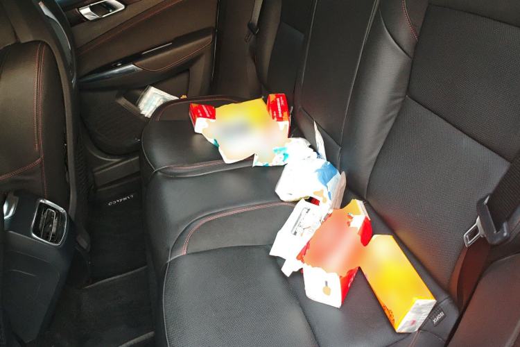 Used Lynk & Co 02 2018 1.5T DCT Two-Wheel Drive Sporty Version China V Standard Left Rear Seat