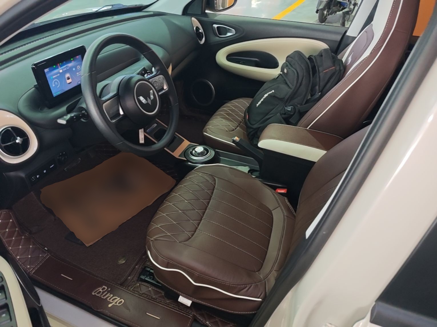 Interior delantero