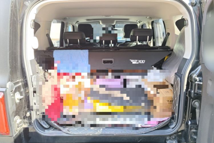 Used Tank 300 2021 Off-Road Edition 2.0T Challenger Trunk