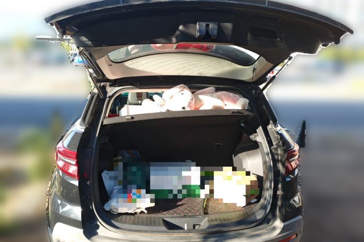 Used Ford Territory 2020 Lingjie S EcoBoost 145 CVT Zunling Edition