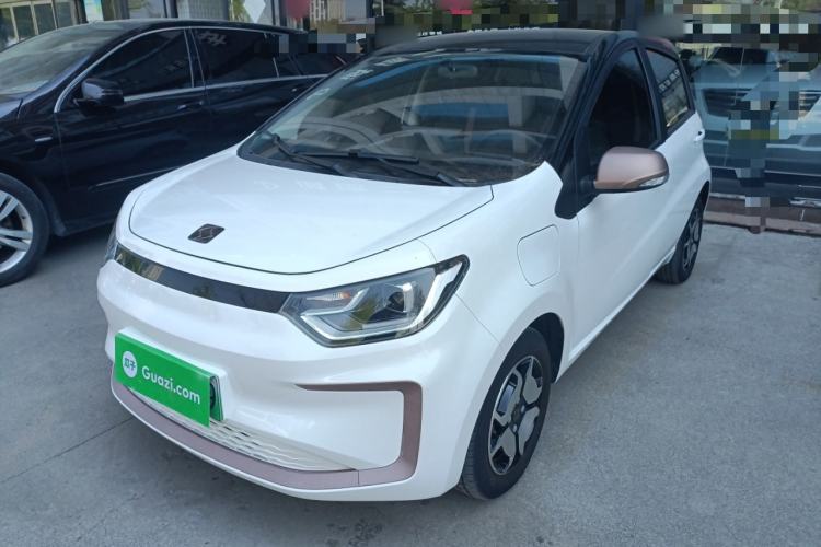 Used SOL E10X 2022 Flower Fairy Style Baby's Breath