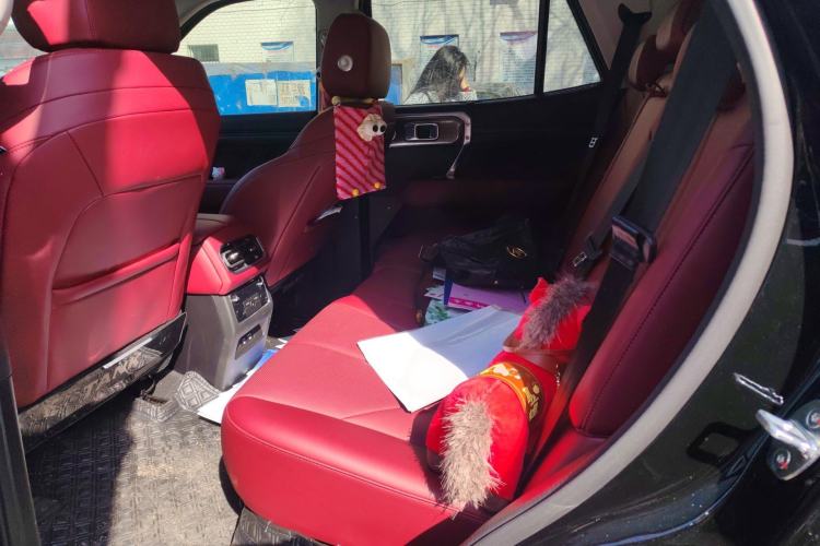 Used Tank 400 New Energy 2024 Hi4-T City Edition Left Rear Seat