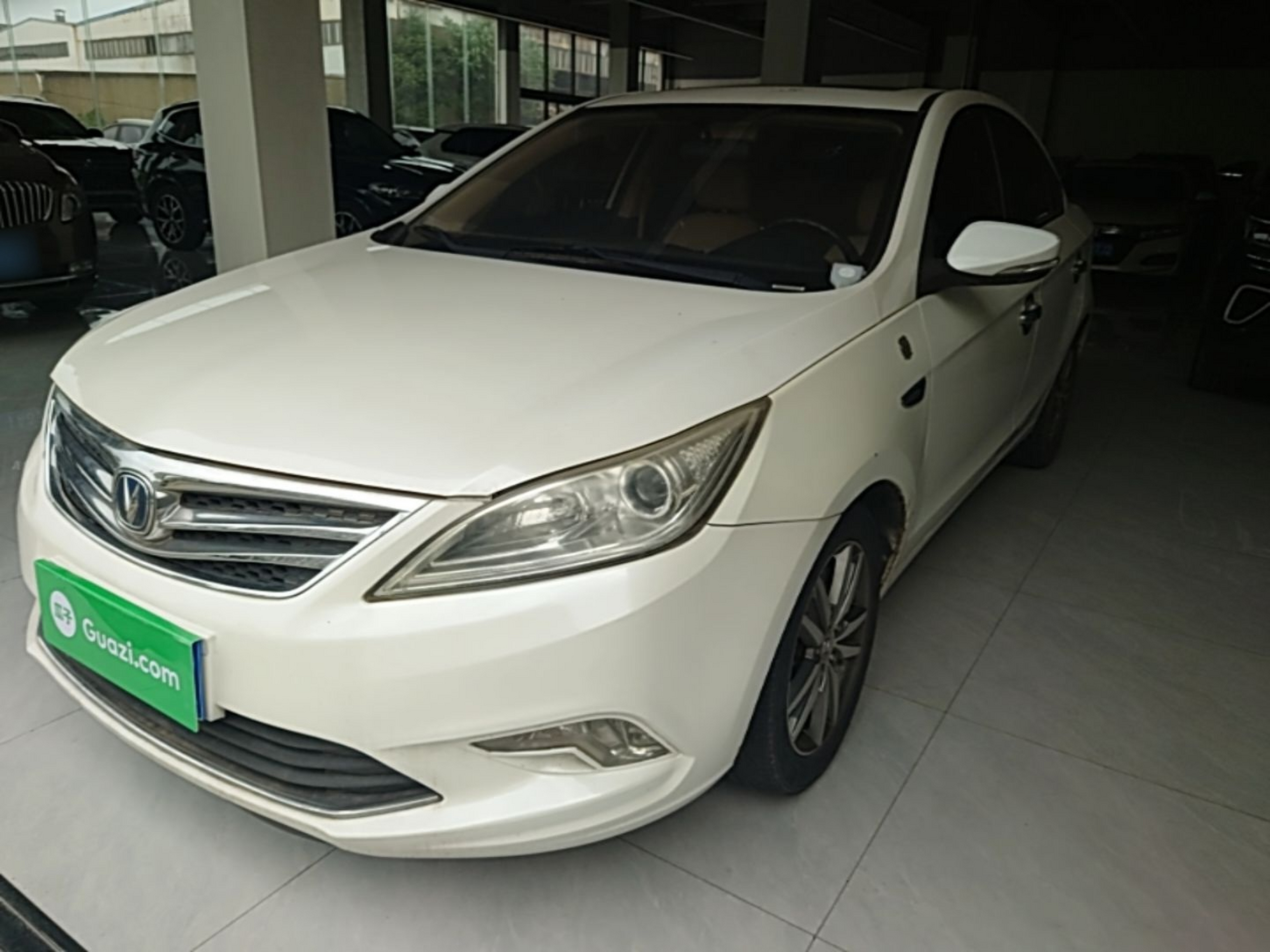 Under Front Bumper