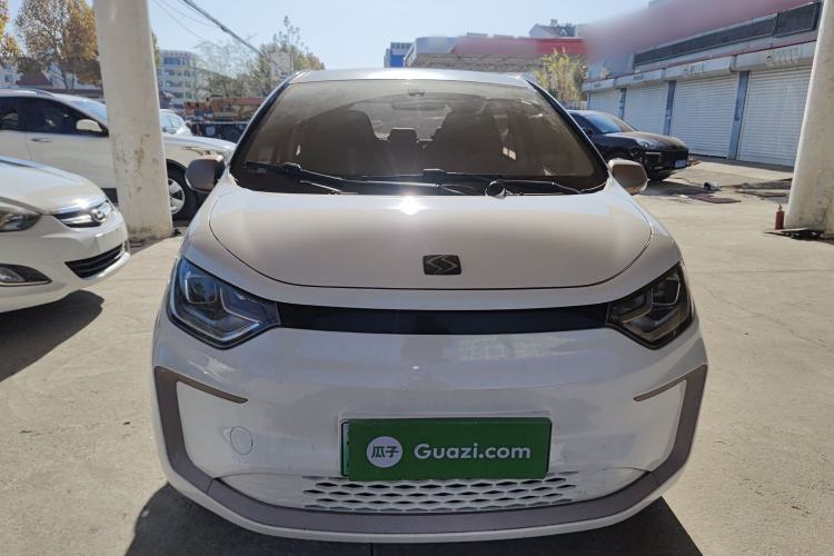 Used SOL E10X 2022 Flower Fairy Design Four-Leaf Clover