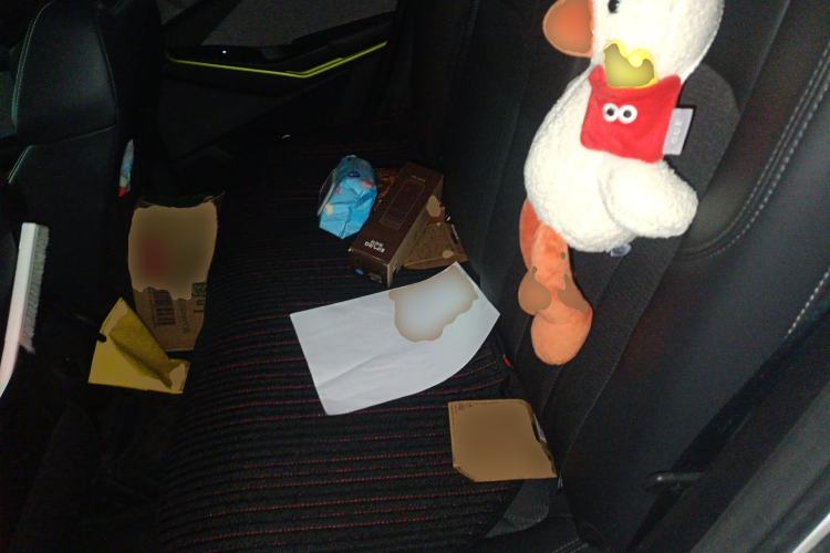 Used CHANGAN E-Pro 2020 Long-Engine Version