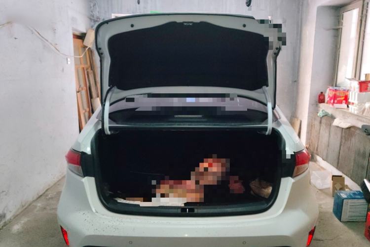 Used Toyota Levin 2022 Dual-Motor 1.8H E-CVT Sport Edition
