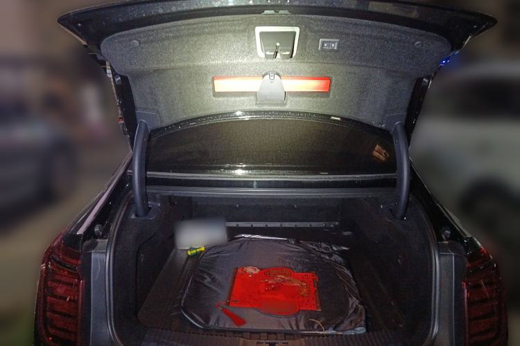 Used Hongqi H9 2022 2.0T Smart Connect Flagship Edition