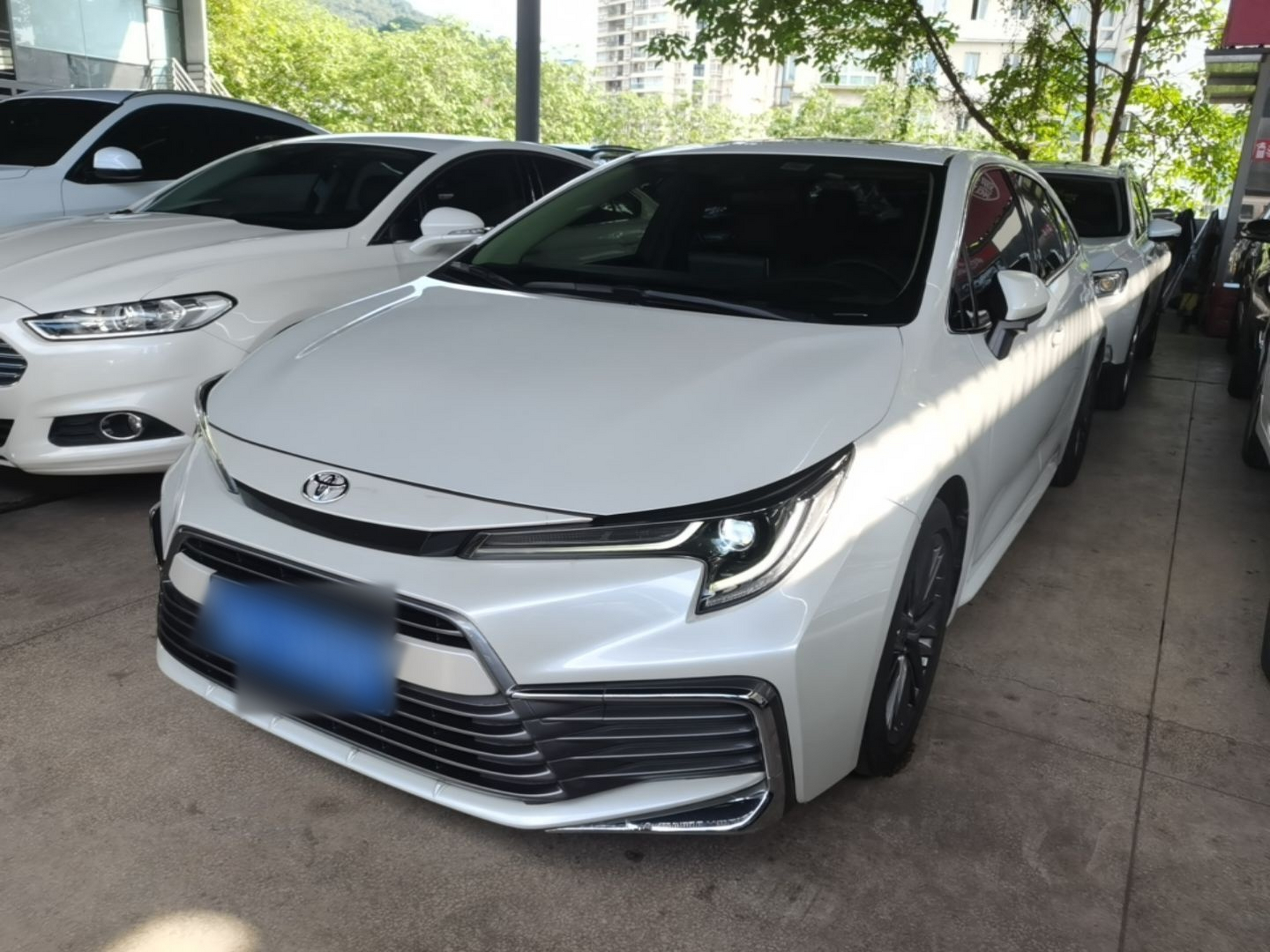 Under Front Bumper
